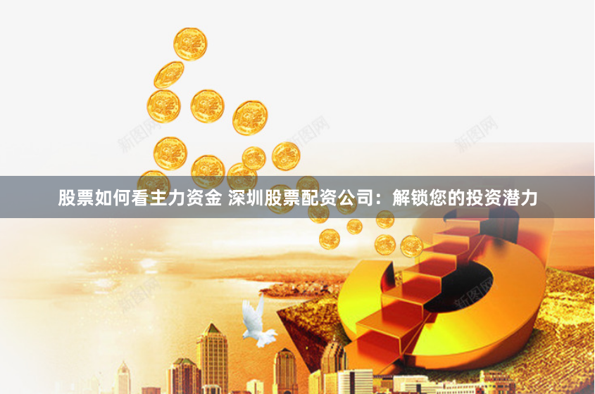 股票如何看主力资金 深圳股票配资公司:解锁您的投资潜力